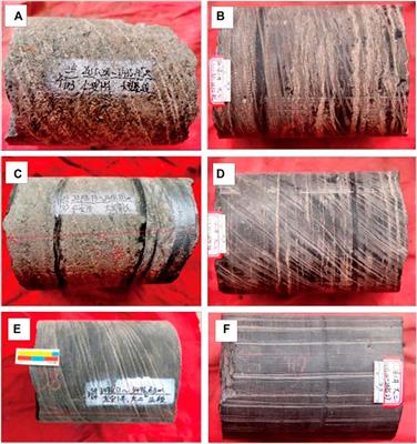 Paleo-sedimentary environment and lithofacies of Jurassic Da’anzhai Member in the Central Sichuan Basin-A case study of Well Ren’an 1